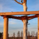 A wooden frame supporting a tree, standing on three foundations.